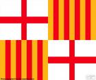 Barcelona bayrağı
